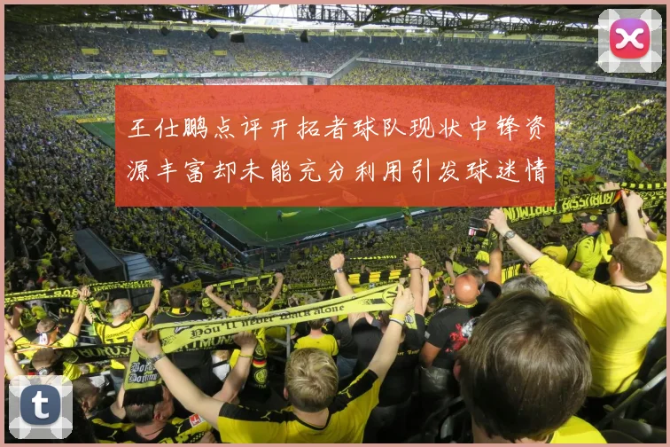 王仕鹏点评开拓者球队现状中锋资源丰富却未能充分利用引发球迷情感交织